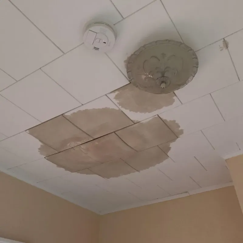 Ceiling Water Damage Repair in Plymouth, CT
