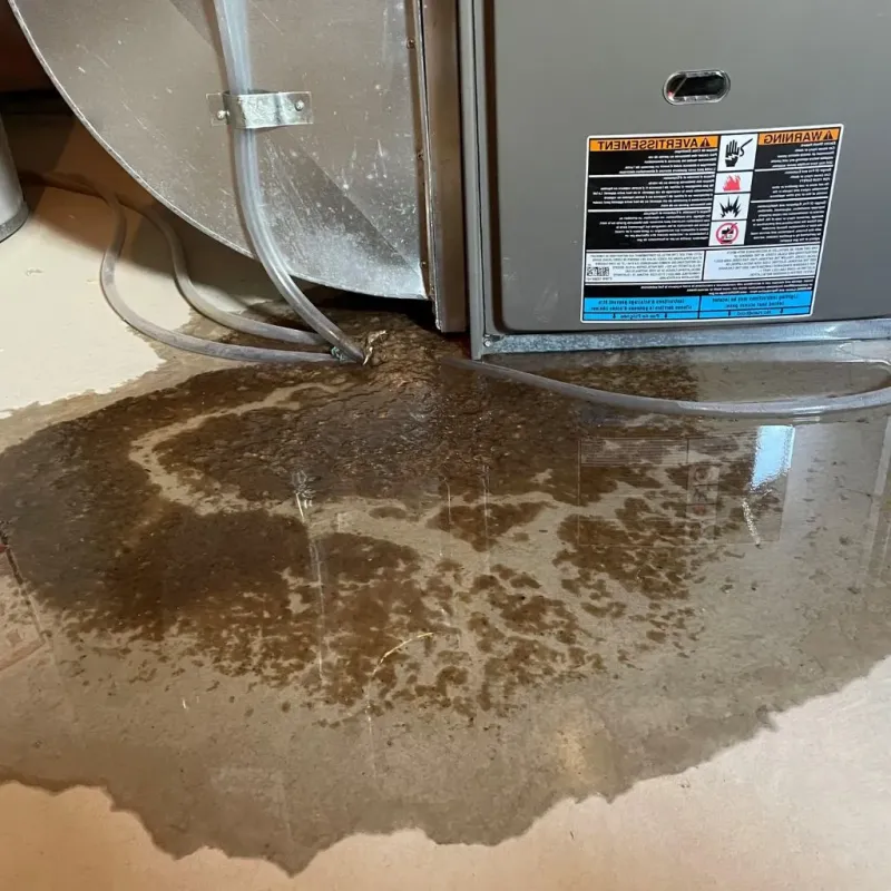 Pipe Burst and Leak Restoration in Plymouth, CT